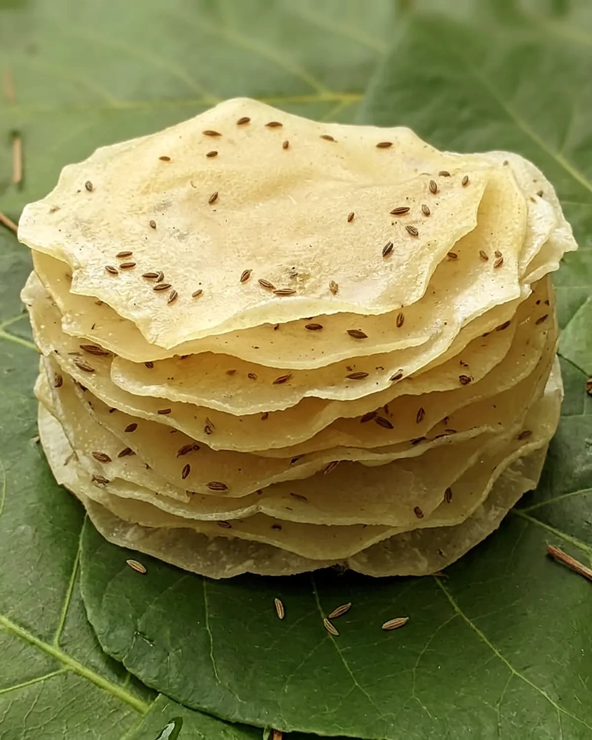 Hand-rolled rice papad pressed with cumin, stacked on a green leaf in open daylight